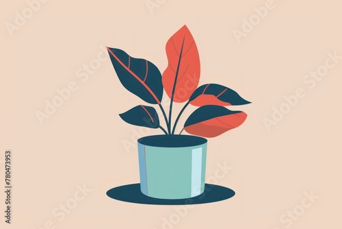 plant in a pot vector illustration ilustraci photo