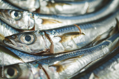Ocean's Bounty: Close-Up of Fresh Anchovies