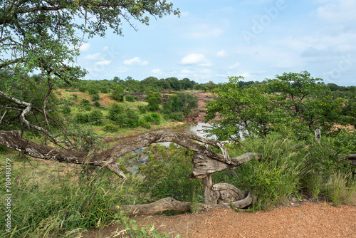 Red Rocks Lookout, rivière Shingwedzi, Parc national Kruger, Afrique du Sud photo