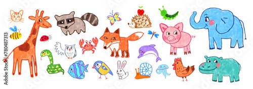 Fototapeta Naklejka Na Ścianę i Meble -  Felt pen vector colorful child drawings illustrations collection of cute animals