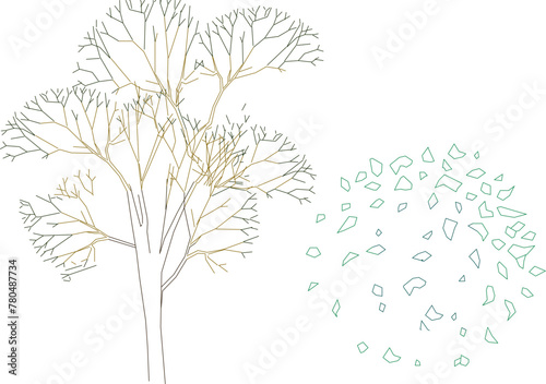 Vector sketch illustration of a tree plant design, front view and top view for completeness of the image 