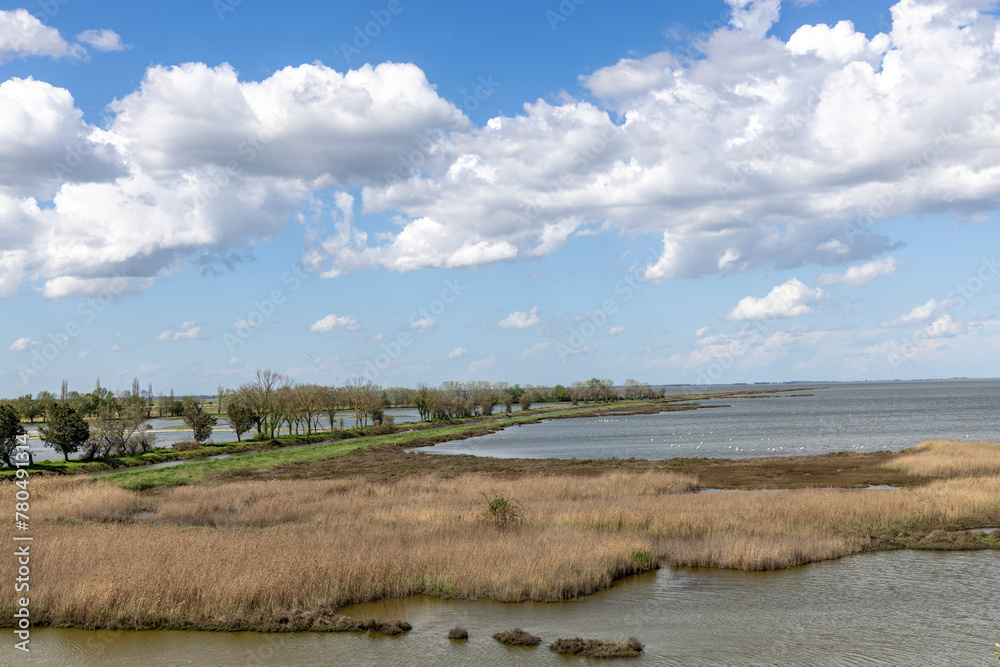 Landscape protection area named Valli di Comacchio in Italy, Europe