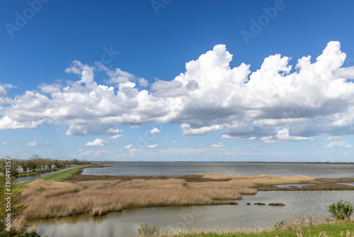 Landscape protection area named Valli di Comacchio in Italy  Europe