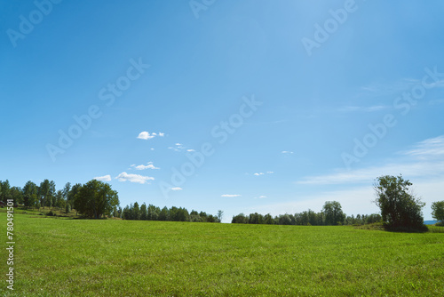 Rural landscape in summer with green field and blue sky