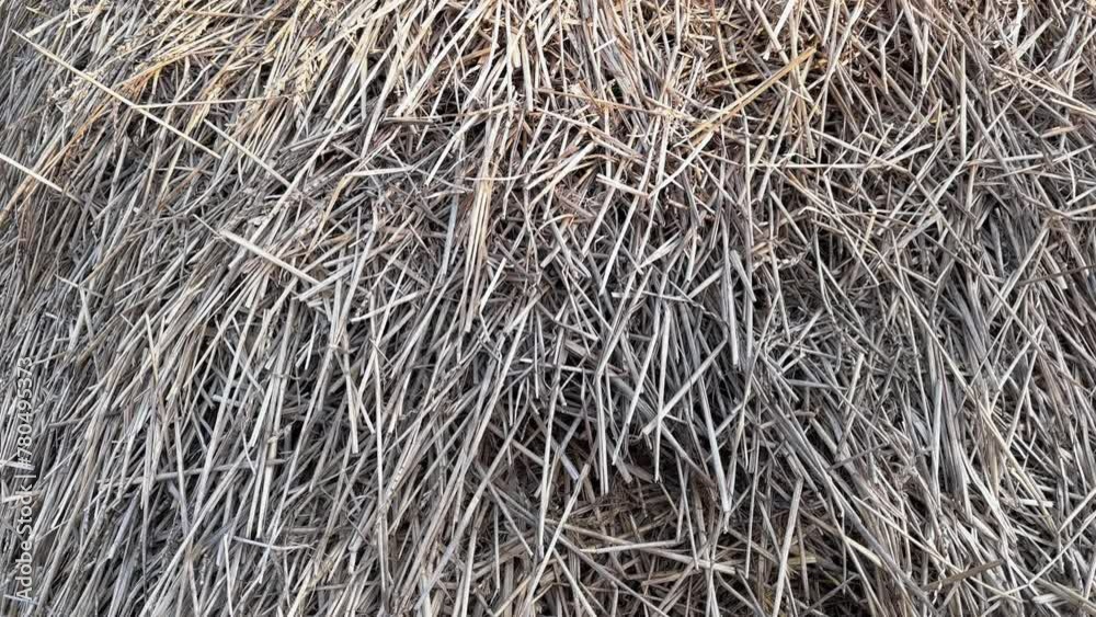 Heap of the old darkened wheat straw harvested last year Heap of the old darkened wheat straw harvested last year