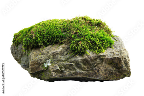 old grey rock with moss isolated on white or transparent png