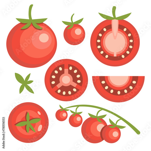 Vector set of isolated tomatoes. Food illustrations.