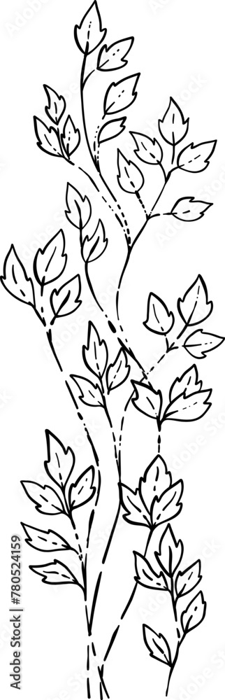 Forest plant, naturalistic botanical illustration