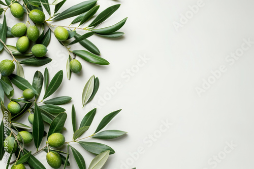 A bunch of green olive leaves are arranged in a row. The leaves are green and shiny, and they are arranged in a way that creates a sense of balance and harmony. Green olive branch with leaves, fruits