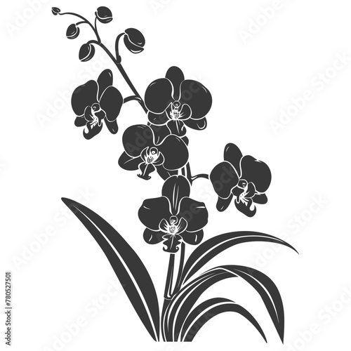 Silhouette Orchid flower black color only