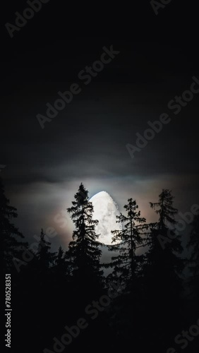 The moon and the forest