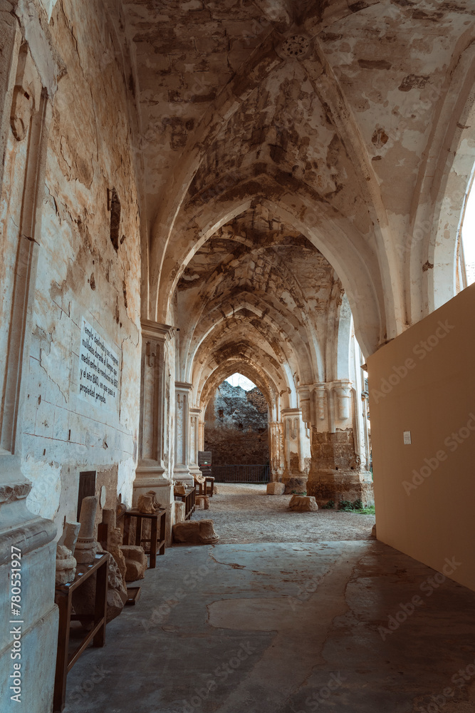 Fototapeta premium Majestic Ruins of Monasterio de Piedra's Cloister