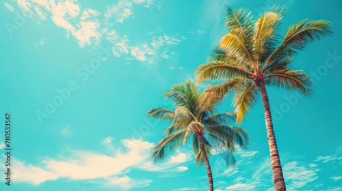 Palm trees against blue sky, Palm trees at tropical coast, vintage toned and stylized © Tina