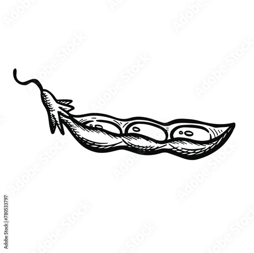 open soybean pod symbol sketch vector illustration.