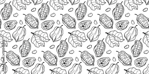 Black and white cocoa pattern. Endless illustration with cocoa fruits and graceful leaves
