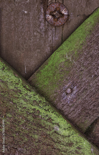 A weathered wooden fence closeup with moss