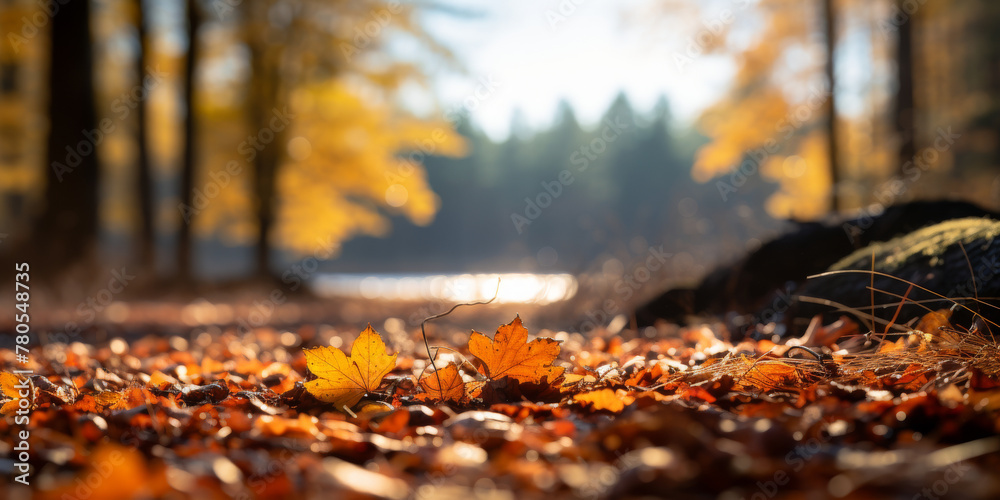 Autumnal Forest Floor with Sunlit Foliage and Fallen Leaves