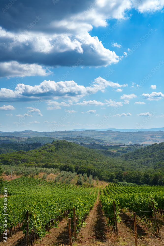 Rural landscape of Chianti, Tuscany, Italy