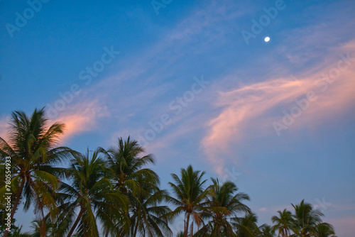 Palmtrees  sunset and moon