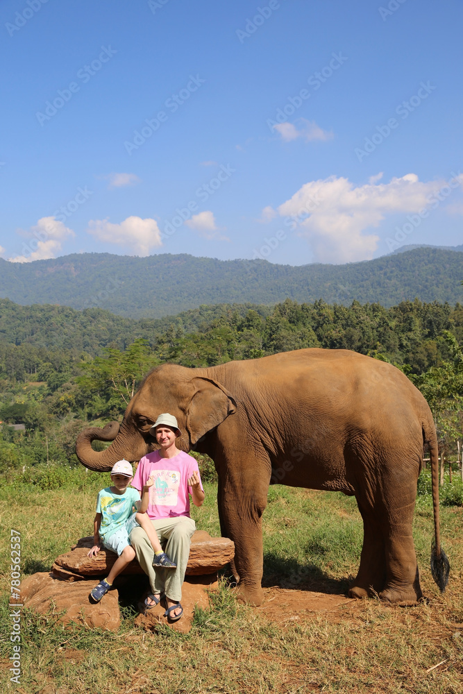 Fototapeta premium Tourist child, cute kid, man and elephant in Chiang Mai, Thailand. Thai animal. Friendship. Boy feeds asian elephant. Thai nature, scenery, beautiful landscape 