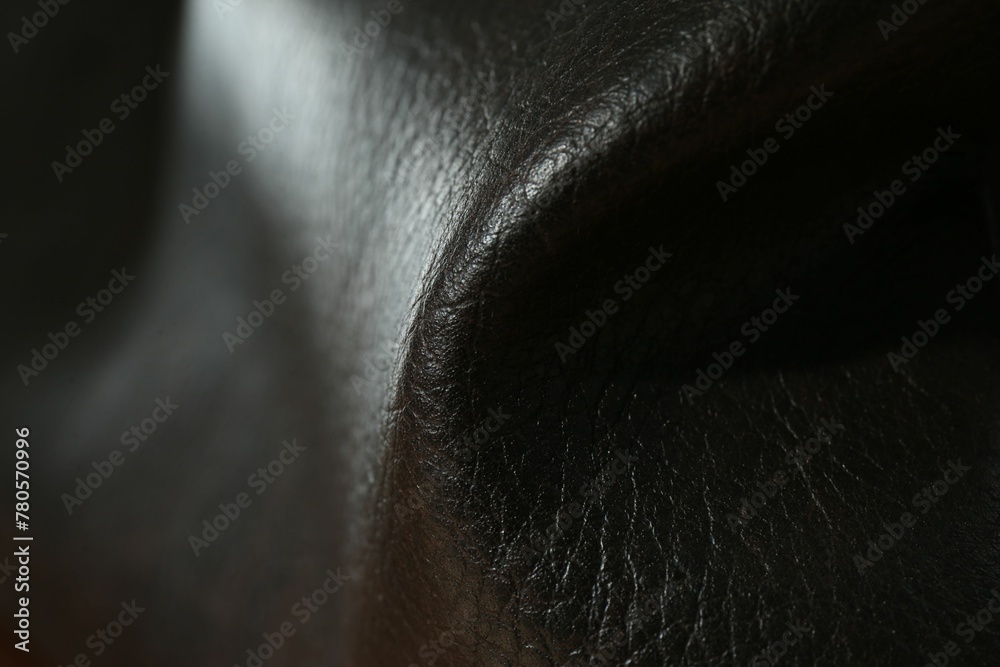 Texture of black leather as background, closeup Texture of black leather as background, closeup