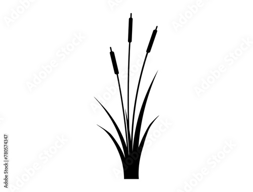 Cattail silhouette vector art white background