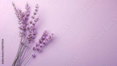 Lavender sprigs on a pastel purple background, a serene and aromatic composition that highlights the delicate beauty and soothing hues of lavender, with a focus on the gentle contrast and harmonious 