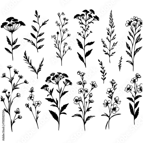 A collection of black and white flowers. The flowers are arranged in a row and are of various sizes. The flowers are all different types and are spread out across the image