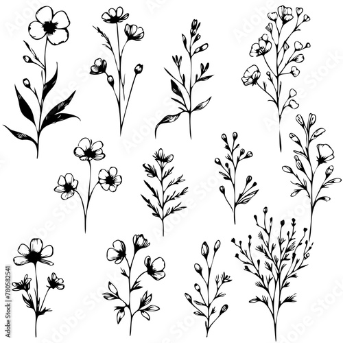 A set of black and white drawings of flowers. The flowers are all different sizes and shapes, but they all have a similar style. Scene is calm and peaceful, as the flowers are depicted in a simple