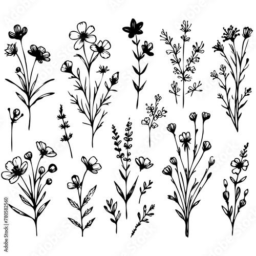 A set of black and white drawings of flowers. The flowers are drawn in various sizes and styles, with some appearing more delicate and others more bold. The overall mood of the images is serene
