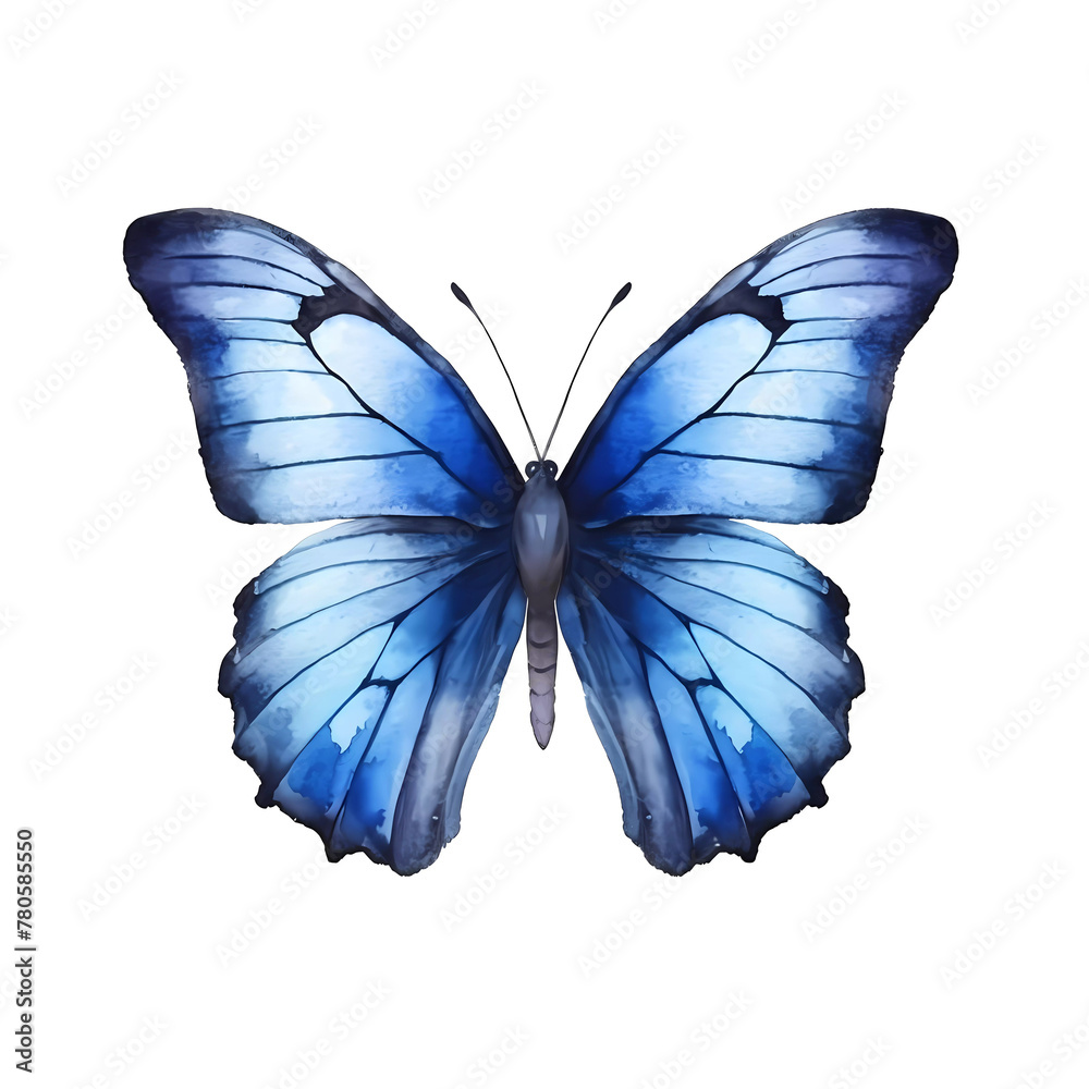 Fototapeta premium Soft blue butterfly with subtle shading, white background