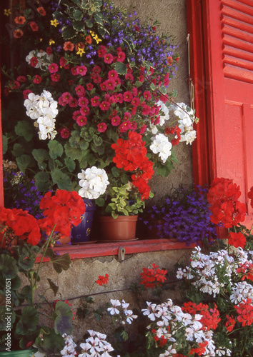 window in flowers in chamonix