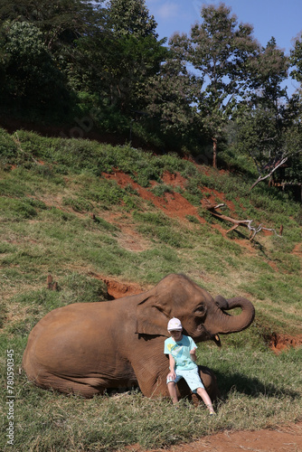 Tourist child, cute kid, little boy and elephant in Chiang Mai, Thailand. Thai animal. Friendship. Boy feeds asian elephant. Thai nature, scenery, beautiful landscape. Hugs