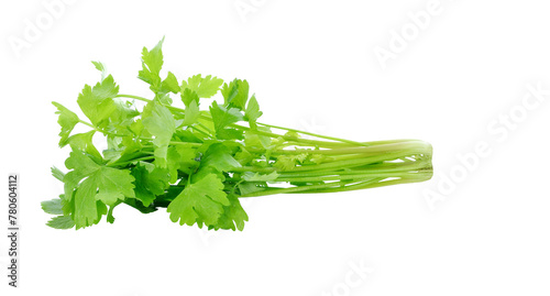 fresh celery leaf transparent png