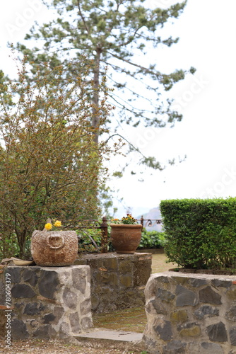 flower pot in garden