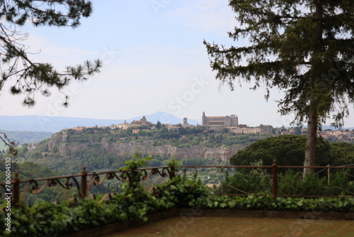 vineyard in provence