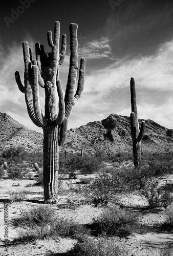 San Tan Mountains Sonora Desert Arizona On Black and White Film