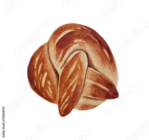 Watercolor baked bun. Sweet knot, sesame pretzel, crusty roll.