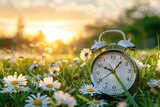 Alarm Clock Amidst Blooming Daisies in Sunrise Scenery