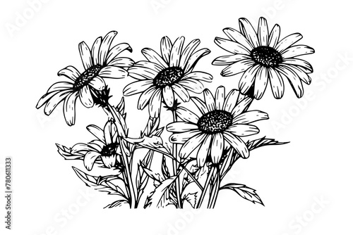 Vintage Sunflower Sketch: Hand-Drawn Vector Flower Illustration in Black and White.