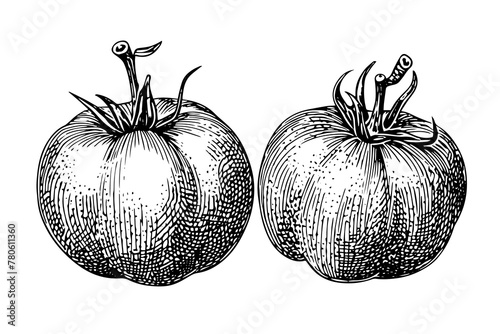 Vintage Tomato Sketch: Hand-Drawn Engraved Vector Illustration in Black and White.