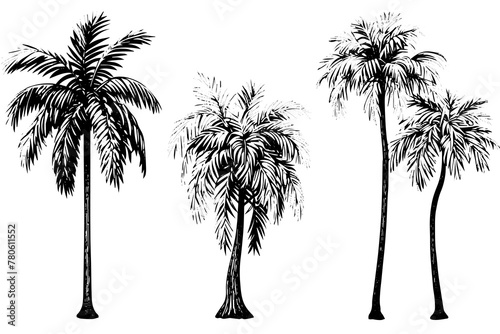 Vintage Hand-Drawn Palm Tree Sketch Vector Illustration  Retro Tropical Coconut Trees.