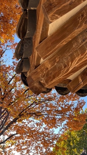 Korean Wooden Roof During Autumn  (ID: 780611981)