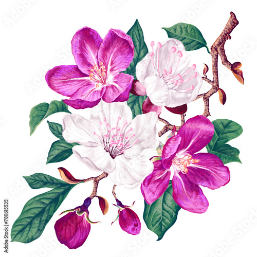 Vector branch with pink and white spring flowers. Realistic fruit tree branch. Detailed hand drawn graphic element for your design, flyers, advertising, social media posts, textile