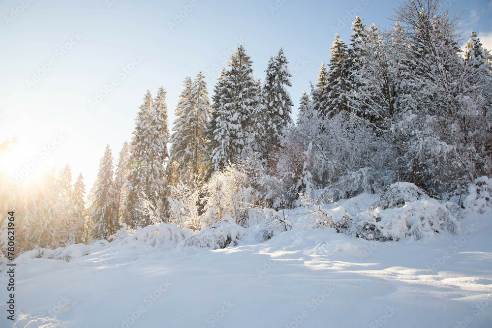 Wintertime with big snow in the Bavarian Alps, Garmish-Partenkirchen, Germany Wintertime with big snow in the Bavarian Alps, Garmish-Partenkirchen, Germany