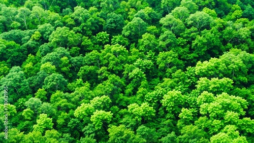 close up of green grass