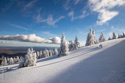 Frozen winter landscape, Vladeasa Mountains, Romania photo