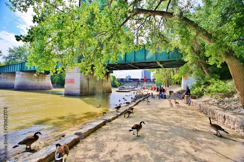 The River Walk and the Forks Bridge by the Assiniboine River in central Winnipeg, Manitoba, Canada photo