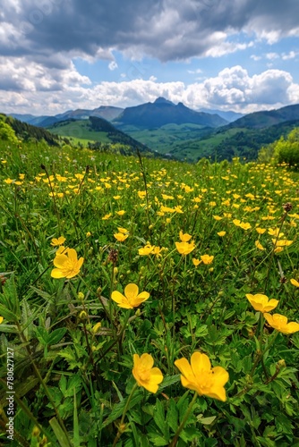 Idyllic landscape in the spring with fresh green meadows and blooming flowers and mountain tops in the background. Discover the spring beauty of the mountains.