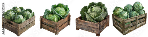 Wooden Box Full Of cabbage Hyperrealistic Highly Detailed Isolated On Transparent Background Png